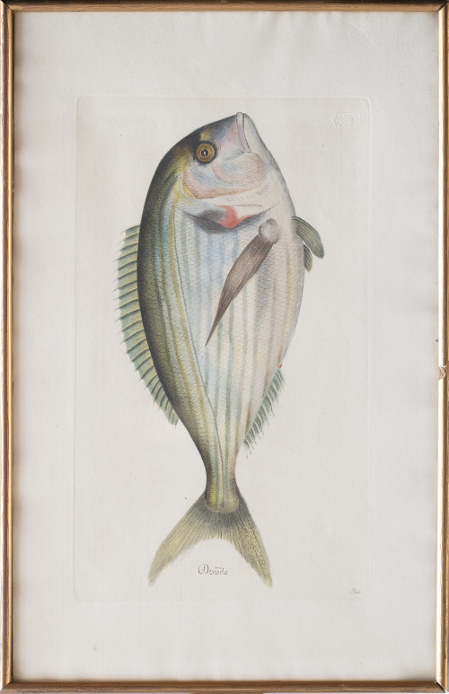 JUAN BAUTISTA BRU DE RAMON (1740-1799) Conjunto de seis p