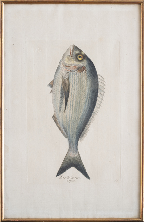 JUAN BAUTISTA BRU DE RAMON (1740-1799) Conjunto de seis p