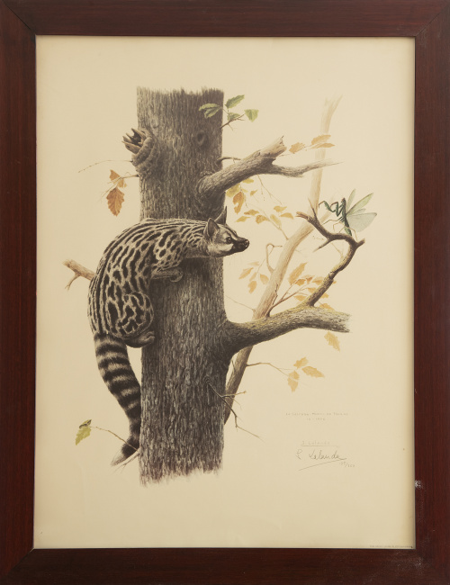 JOSECHU LALANDA, SIGLO XXLa Salceda-Montes de Toledo IX-1