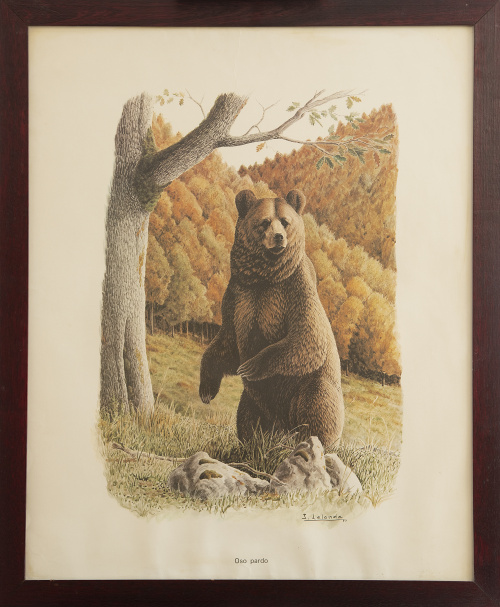 JOSECHU LALANDA, SIGLO XXOso pardo