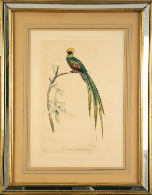 EDOUARD TRAVIES (1809-1876)Loros