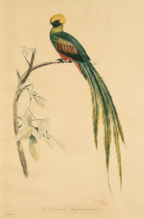 EDOUARD TRAVIES (1809-1876)Loros