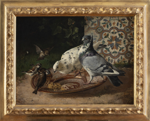FEDERICO JIMÉNEZ FERNÁNDEZ (n. Madrid, 1841)Gorriones y p