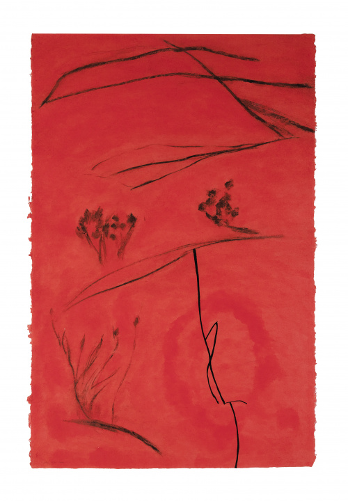 S.XXS.T, 2000