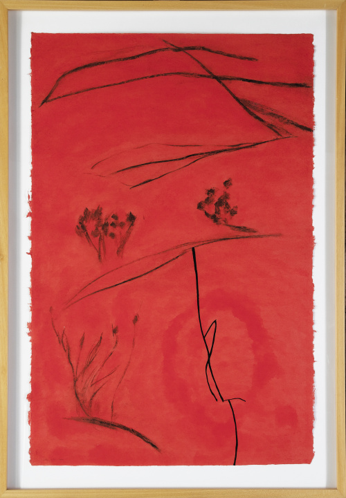 S.XXS.T, 2000