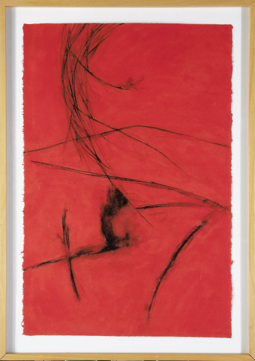 S.XXS.T, 1999