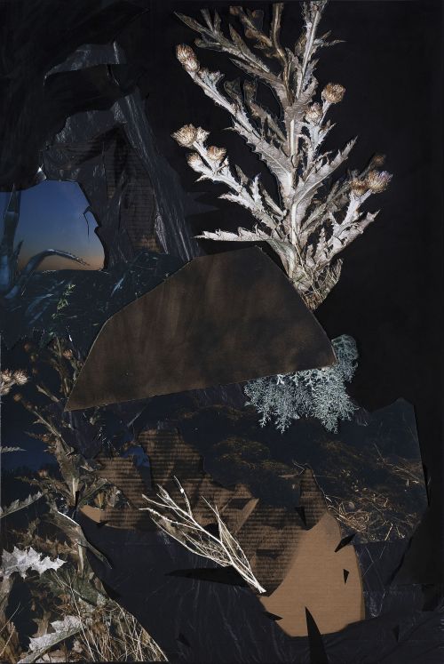 MIGUEL ÁNGEL TORNERO (Baeza, Jaén, 1978), MIGUEL ÁNGEL TORN