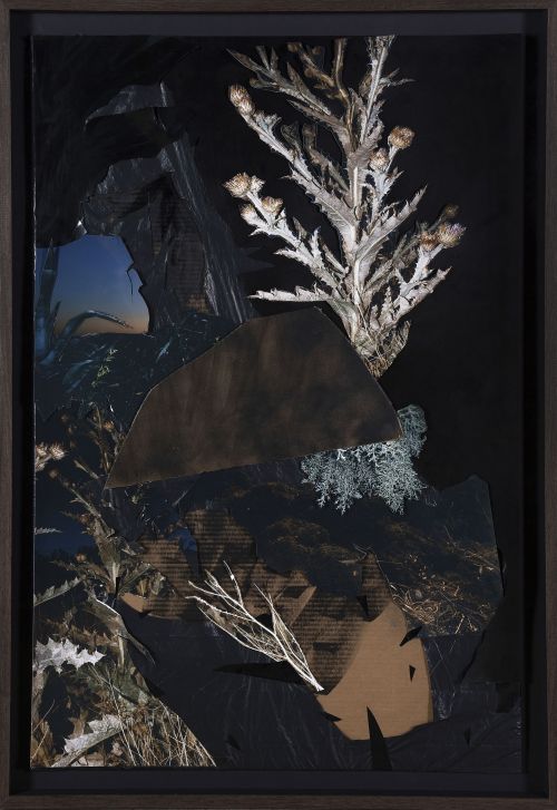 MIGUEL ÁNGEL TORNERO (Baeza, Jaén, 1978), MIGUEL ÁNGEL TORN