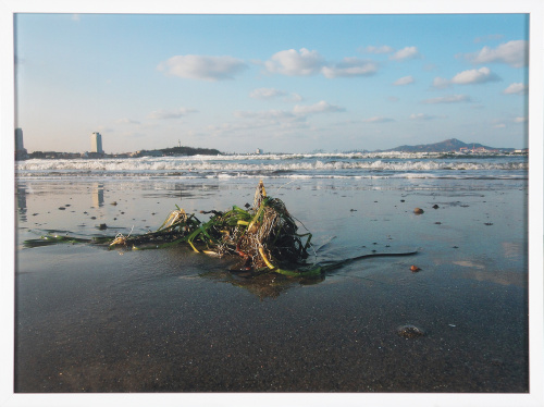 LIANG YUANWEI (Xi&#39;an, China, 1977), LIANG YUANWEI (Xi&#39;an, C