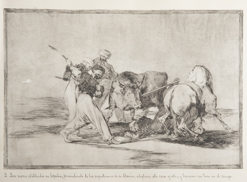 FRANCISCO DE GOYA Y LUCIENTES (Fuentedetodos, 1746 - Burdeo