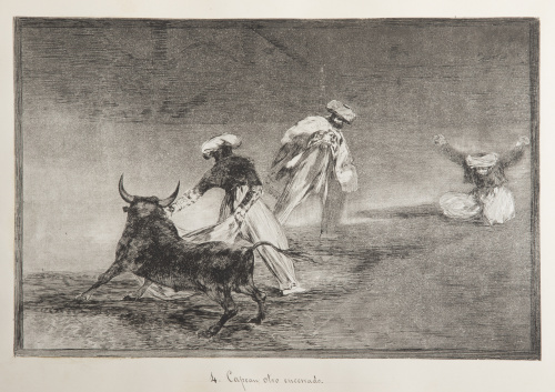 FRANCISCO DE GOYA Y LUCIENTES (Fuentedetodos, 1746 - Burdeo