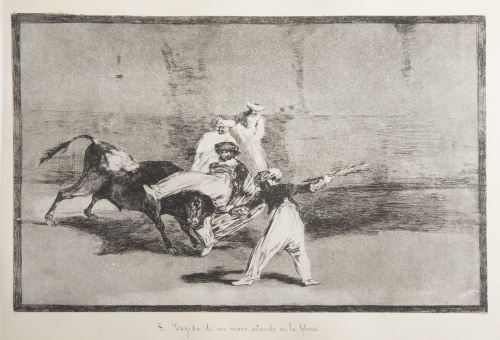 FRANCISCO DE GOYA Y LUCIENTES (Fuentedetodos, 1746 - Burdeo