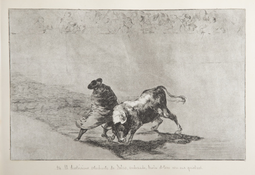 FRANCISCO DE GOYA Y LUCIENTES (Fuentedetodos, 1746 - Burdeo