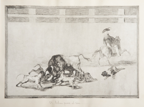 FRANCISCO DE GOYA Y LUCIENTES (Fuentedetodos, 1746 - Burdeo