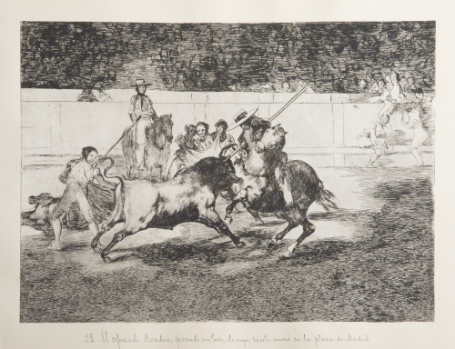 FRANCISCO DE GOYA Y LUCIENTES (Fuentedetodos, 1746 - Burdeo