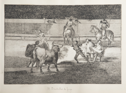 FRANCISCO DE GOYA Y LUCIENTES (Fuentedetodos, 1746 - Burdeo