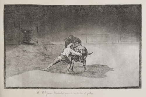 FRANCISCO DE GOYA Y LUCIENTES (Fuentedetodos, 1746 - Burdeo