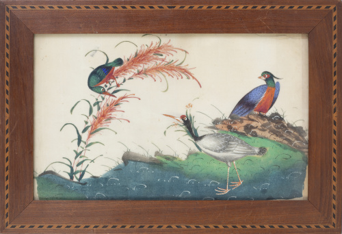 Aves.Papel de arroz pintado.China, S. XIX.
