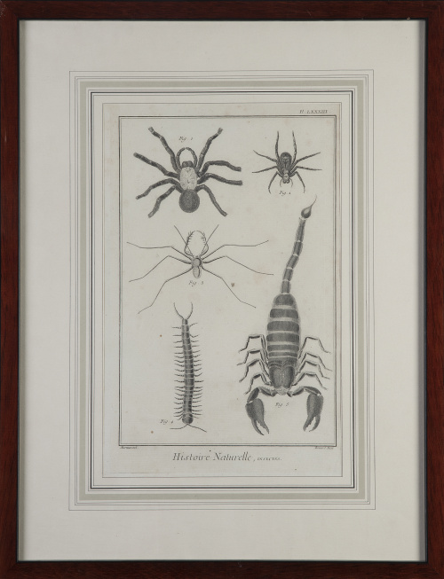 MANUEL NAVARRO (ca. 1790-1850) /GEORGES LOUIS LECLERC, COND