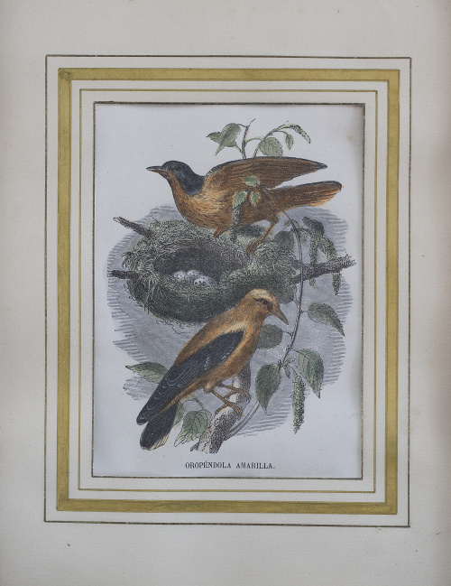 MANUEL NAVARRO (ca. 1790-1850) /GEORGES LOUIS LECLERC, COND