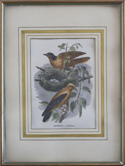 MANUEL NAVARRO (ca. 1790-1850) /GEORGES LOUIS LECLERC, COND