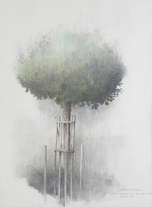 MARCIAL GÓMEZ PAREJO (Hinojosa del Duque, 1930 - Córdoba, 2