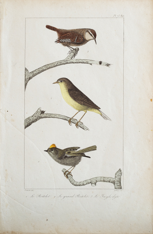 GEORGES LOUIS LECLERC, CONDE DE BUFFON  (1707-1788) y EDOUA