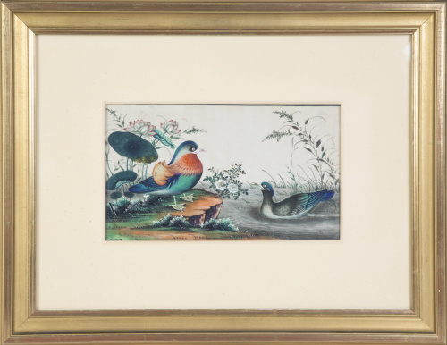Aves en el río.Papel de arroz pintado.China, S. XIX.