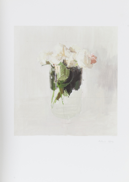 ANTONIO LÓPEZ (Tomelloso, 1936), ANTONIO LÓPEZ (Tomelloso, 