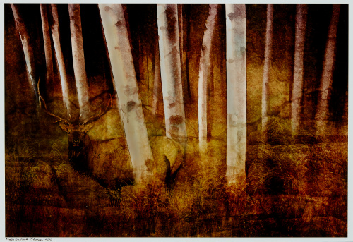 KIMBER WALLWORK-HEINEMAN (USA)“Solitude”, 2010.