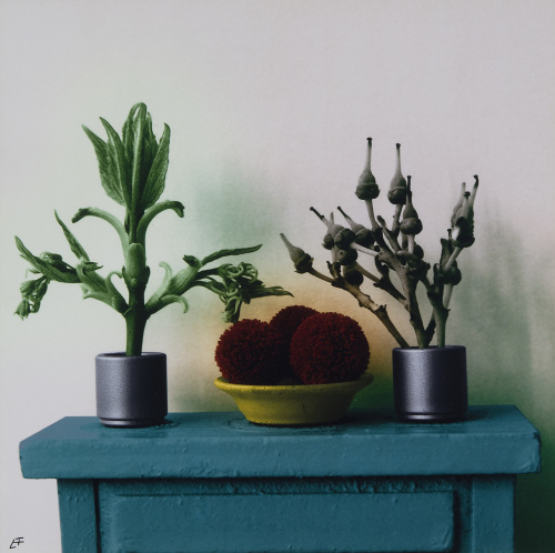 LETICIA FELGUEROSO (Madrid, 1963)Lote de cinco bodegones