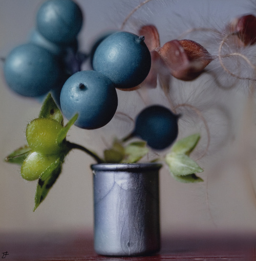 LETICIA FELGUEROSO (Madrid, 1963)Lote de cinco bodegones