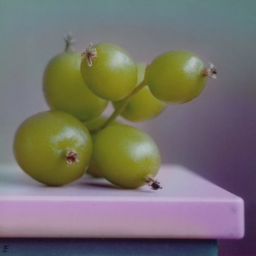 LETICIA FELGUEROSO (Madrid, 1963)Lote de cinco bodegones