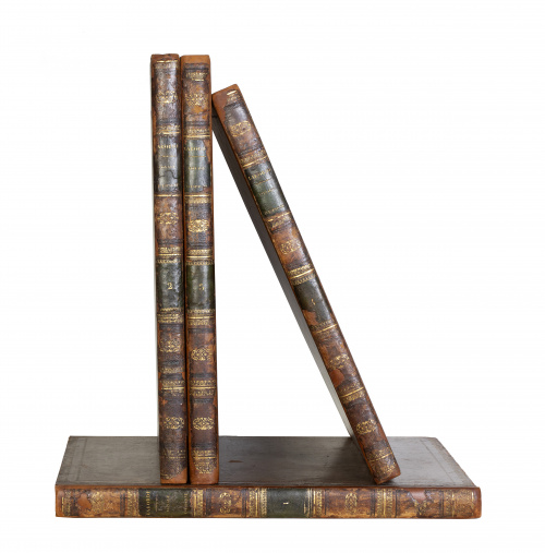 ALEXANDRE LABORDE (1773 / 1842)"Voyage pittoresque et his