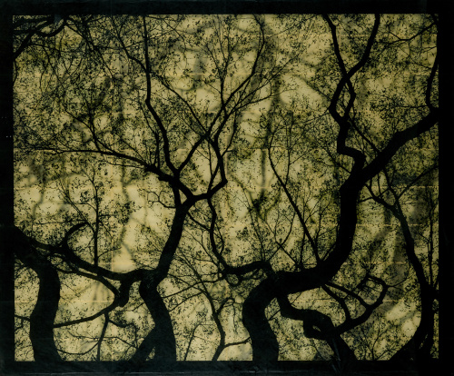 DOUG & MIKE STARN (América, 1961)“Structure of Thought 19 