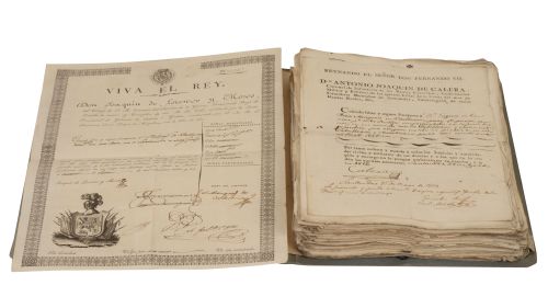 IMPORTANTE ARCHIVO DEL MARQUESADO DE VALBUENA DEL DUERO CON