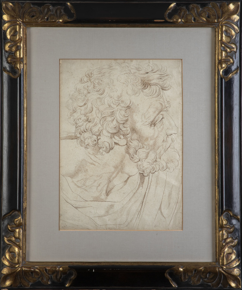 ESCUELA ESPAÑOLA, FF. SIGLO XVIIIEstudio de una cabeza