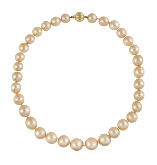 Collar de perlas australianas golden de tamaño creciente ha
