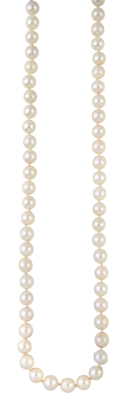 Collar de un hilo de perlas cultivadas con cierre de oro y 