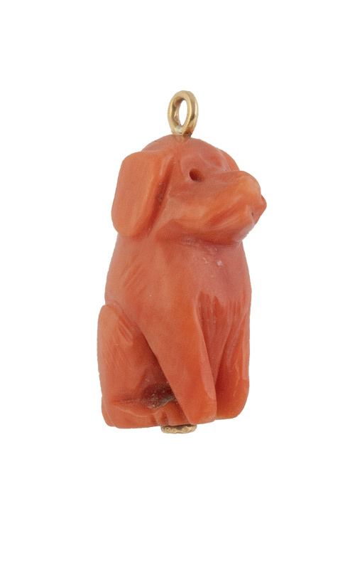 Colgante charm de perrito de coral tallado con asa en oro