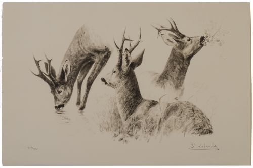 JOSECHU LALANDA (San Sebastián, 1939 - Arganda del Rey​, 20