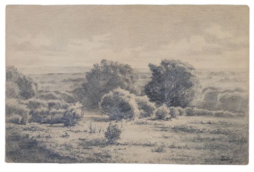 JOSÉ MARÍA SUAY DAGUÉS (Valencia, 1865- Madrid, 1938)Pais