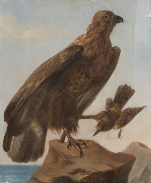 ESCUELA ESPAÑOLA, H. 1800Águila sobre un paisaje