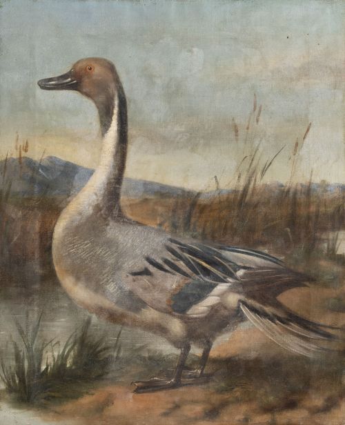 ESCUELA ESPAÑOLA, SIGLO XIXPato sobre un paisaje