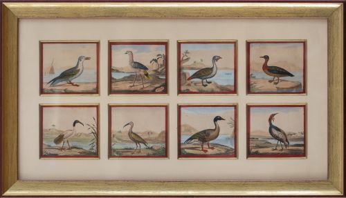 ESCUELA FRANCESA, H. 1800Colección de distintos pájaros, 