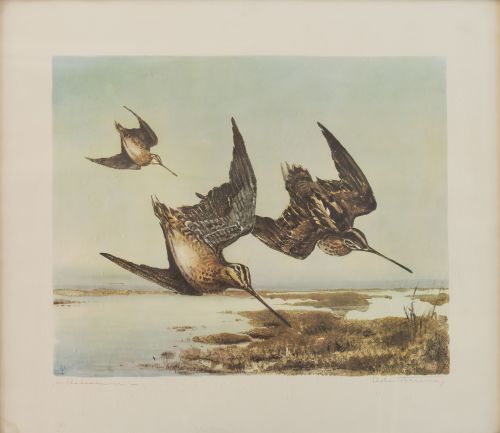 ESCUELA ESPAÑOLA, SIGLO XXBecadas