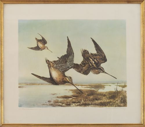 ESCUELA ESPAÑOLA, SIGLO XXBecadas