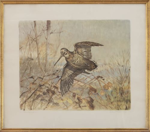 ESCUELA ESPAÑOLA, SIGLO XXBecadas