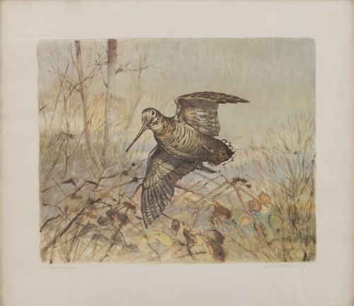 ESCUELA ESPAÑOLA, SIGLO XXBecadas